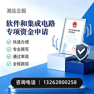 百色软件和集成电路专项资金申报服务
