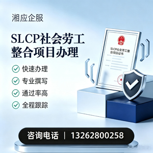 百色SLCP社会劳工整合项目申报服务
