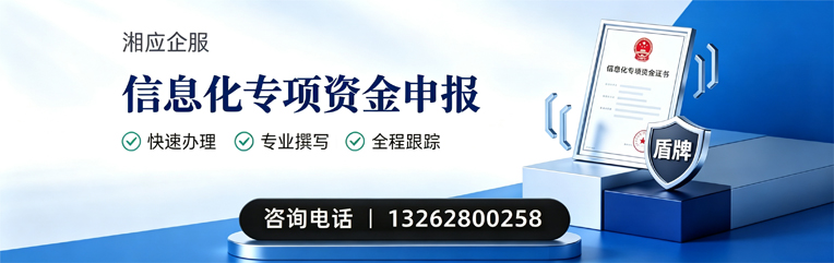 百色信息化专项资金申报服务