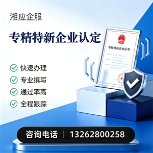 百色专精特新企业申报服务