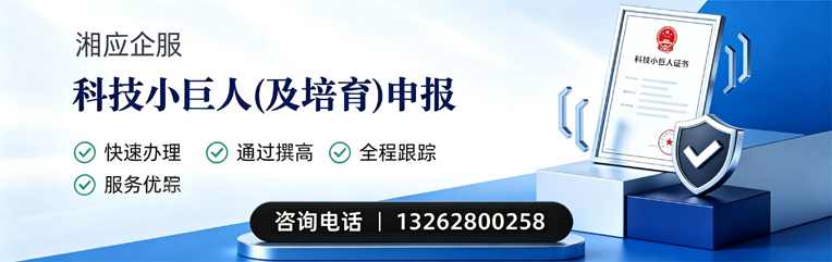 百色科技小巨人及培育企业申报服务