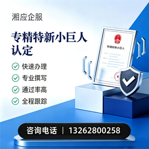 百色专精特新小巨人申报服务
