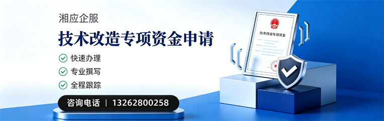 百色技术改造专项资金申报服务