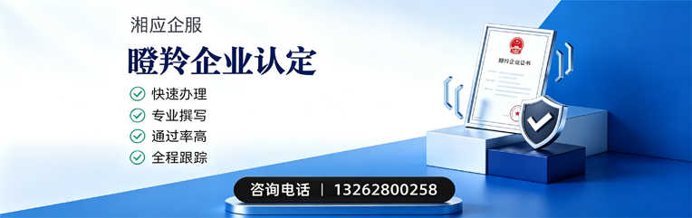 百色瞪羚企业认定申报服务