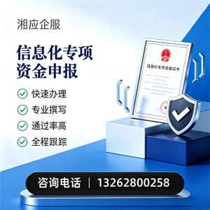 百色信息化专项资金申报服务