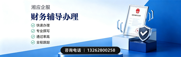 百色财务辅导申请服务