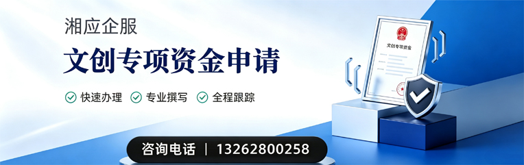 百色文创专项资金申报服务