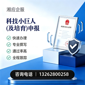百色科技小巨人及培育企业申报服务