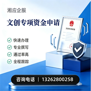 百色文创专项资金申报服务