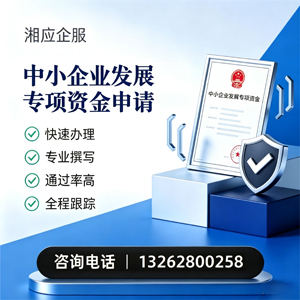 百色中小企业发展专项资金申报服务