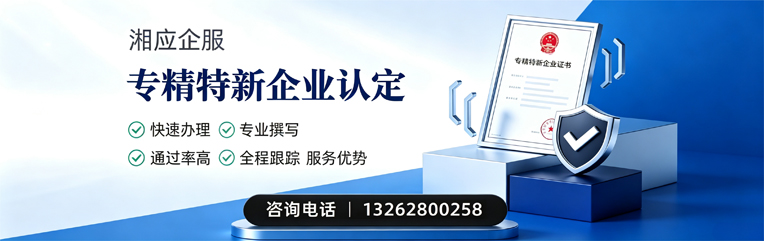 百色专精特新企业申报服务