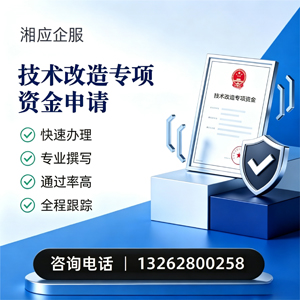 百色技术改造专项资金申报服务