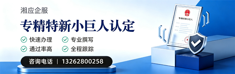 百色专精特新小巨人申报服务